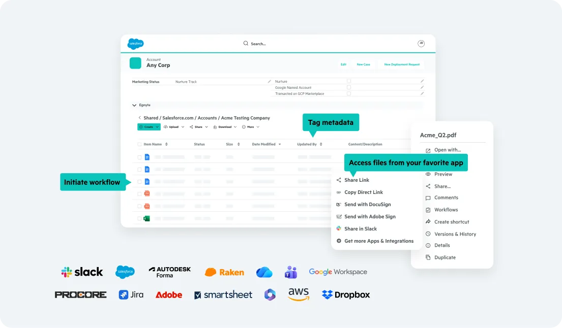 Egnyte file browser embedded inside a Salesforce account record, with share, e-sign, and workflow actions