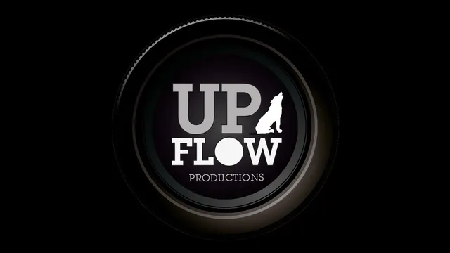 Demo video