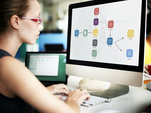 erp consultant