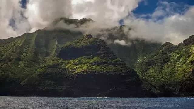 erp hawaii