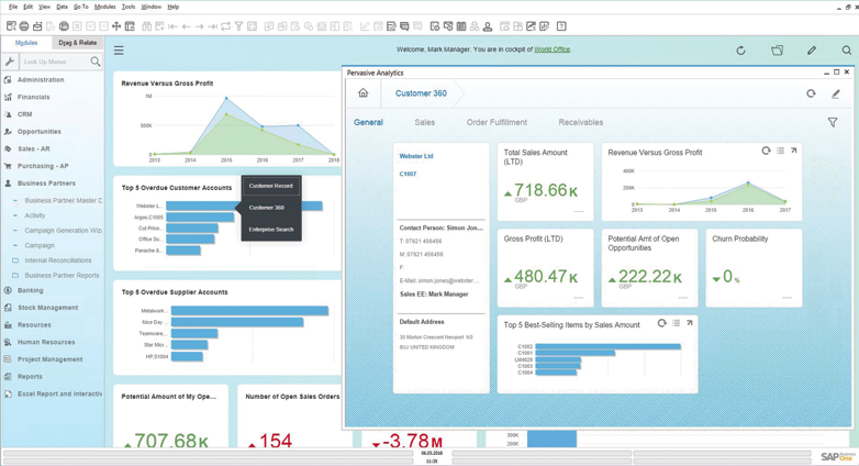 SAP Business One interface overview
